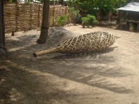 /album/dili-/a02-baucau-dili-18dez-2012-22-jpg/